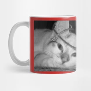 Kitty Mug